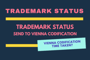 Vienna Codification Time Taken